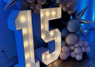Birthday Party DJ Yager Entertainment 400x284 - Yager Entertainment Orlando
